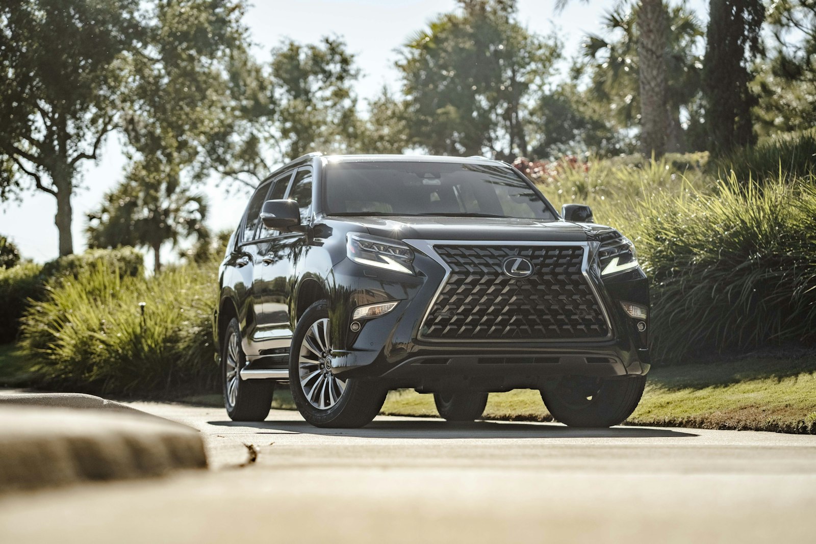 Lexus off-road