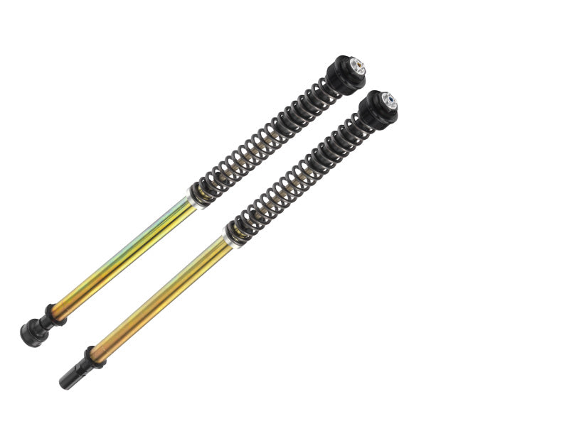Bitubo Suspension Bitubo JBHV1 Pressurized Cartridge Adj.: Spring Preload, Rebound, Comp., w/o Oil, Red Ring Y0133JBH01V1WO