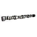 Comp Cams CB 290H-R10