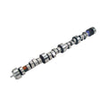 Comp Cams LT1 268XFI HR-13