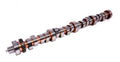 COMP Cams Camshaft FF 312B-R10 34-703-9