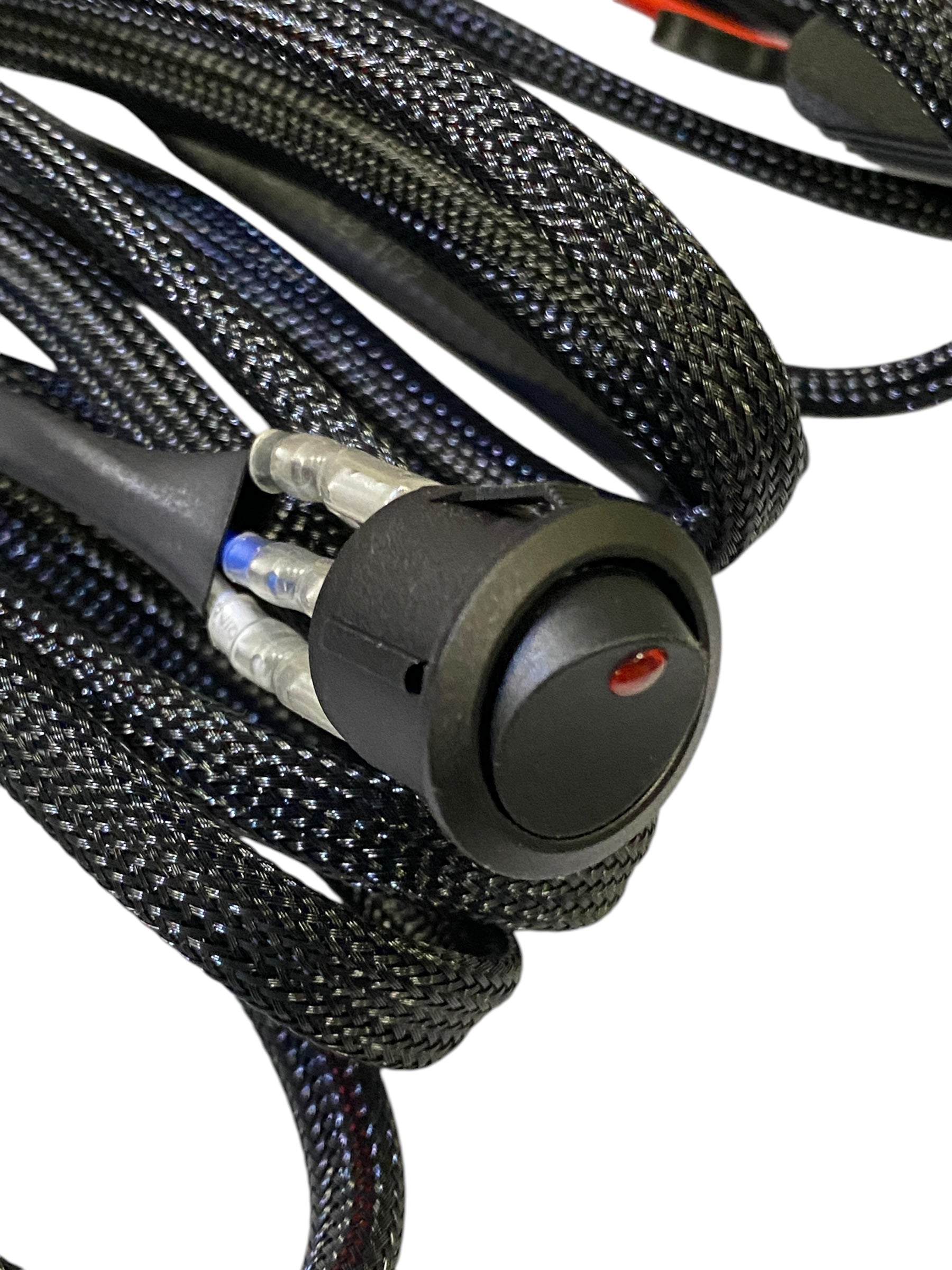 GGLighting single wiring harness for automotive or electrical applications, shown in a close-up image with wiring components.